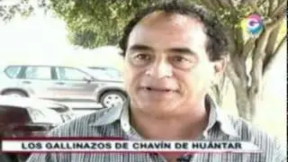 LOS GALLINAZOS DE CHAVIN DE HUANTAR