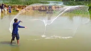Cast Net Fishing for Tilapia