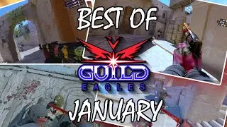 GUILD EAGLES - BEST OF JANUARY