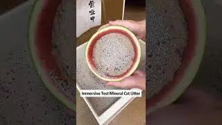 Mineral cat litter test. Dust-free cat litter | Strong water-absorbent cat litter | Decompression