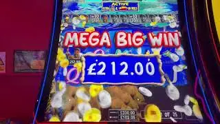 BIG FISHING BONANZA,GOLD WINNER,RISE OF THE SAMURAI,LUCKY CHUCKIES EGG RACE,BEE FRENZY+ LOTS MORE🍀🍀