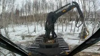 Birch thinning job. Ponsse Beaver C44+ H6 05.03.2023.