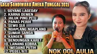 TERBARU goyang lageday - karna demen NOK OOL FULL ALBUM SANDIWARA ANEKA TUNGGAL & FANDEYU MUSIK