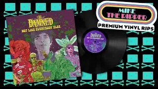 The Damned - You Must Be a Witch - vinyl rip - Not Like Everybody Else - needle drop
