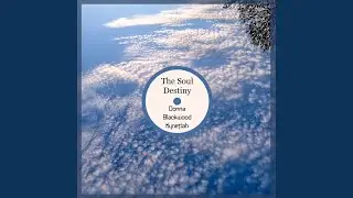 The Soul Destiny