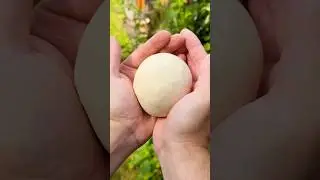 Chicago Thin Crust AKA Tavern Style pizza dough recipe 🍕🍕🍕