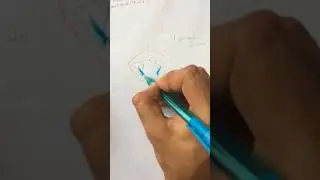 Primer Premolar Inferior