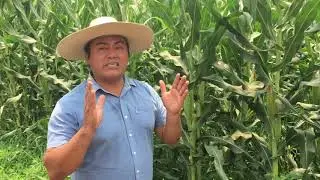 PARCELAS DEMOSTRATIVAS DE PRODUCCION SUSTENTABLE - JUAN R. ESCUDERO