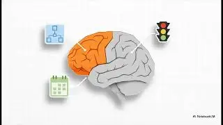 Topic 2: The Biological Basis of Behavior
