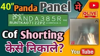 Panda 40
