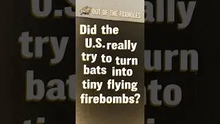America&rsquo;s Secret Bat Bomb Project #OOTF #shorts