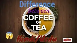 Difference between Tea or Coffee | amazing facts 😱 | World's Adventures | hindi/Urdu | #coffee #tea