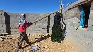 Sakineh's family cooperation in cleaning the sheep pen