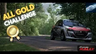Road to ALL GOLD Medals in Assetto Corsa Rally