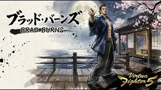 Virtua Fighter 5 R.E.V.O. World Stage.Brad Burns Arcade