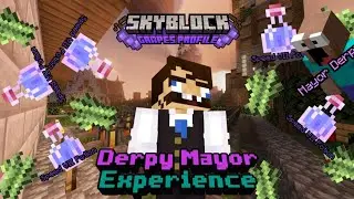 Derpy Mayor Experience || Hypixel Skyblock [Grapes Profile]