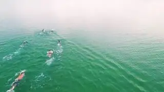 B Coy 1 Mile Swim