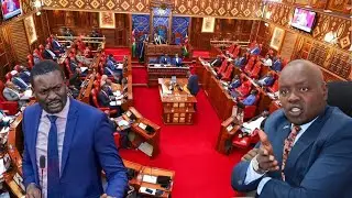 LIVE: SENATE HEATED AFTERNOON DEBATE AFTER ODM PRESS ON BROAD-BASED DEMANDS WITH UDA