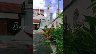 Bencoolen Mosque a national heritage #bencoolen #mosque #national #heritage #oldest #multiracial #we