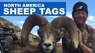 North America Sheep Tags | TAGS Worldwide Trophy Adventures