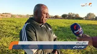 مزارع من وادي عتبة ينجح في أول تجربة لزراعة البونيكام بالمنطقة