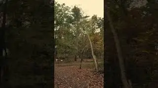 High Park #toronto #canada #fallseason