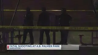 Fatal Shooting at A.B. Palmer Park block party