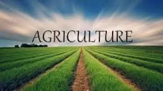 Class-10th Geography Ch-4 Agriculture Notes