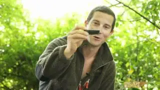 Couteaux Scout & Scout Compact Bear Grylls - Gerber