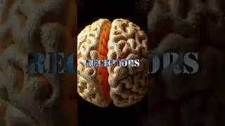 Addiction reprograms the brain's survival center to treat substances as critical for survival.