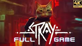 CAT ADVENTURE | STRAY GAMEPLAY #1 - 4K (UHD) ULTRA HIGH DEFINITION