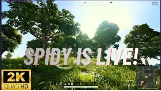 Grinding PUBG PC | Join The Stream | Lesss Gooo