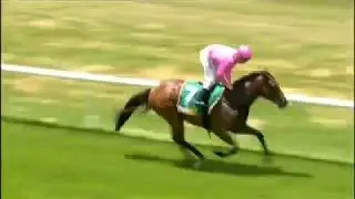 2017 DRC Dunkeld Races Race 2 _ Maiden Plate
