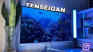 MONITOR GAMER NINJA TENSEIGAN BRANCO 24P, 165HZ IPS - VALE A PENA?