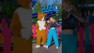 Научила кота тренду! 😂
