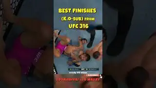 😱BEST FINISHES (K.O._sub) from UFC 316 !!! #mma #ufc