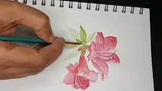 Watercolor Painting of Azalea Flowers