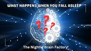 Nightly Brain Factory