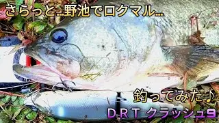 【バス釣り】DRTクラッシュナインで野池のロクマル‼　岡山県　溜池　野池　オカッパリ　　K9のスペック　Vテール逆付け時全長265㎜、重さ3.3oz(94g)　　　クラッシュ9