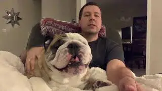 Reuben the Bulldog: Roo's Got Mail