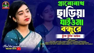 প্রান নাথ ছাড়িয়া যাইওনা বন্ধুরে / টুক টুকি বাউল / baul song / alek bati