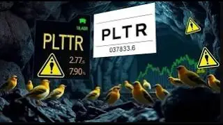 PALANTIR STOCK VOLATILITY: A CANARY IN THE COAL MINE FOR TECH STOCK BUBBLE AND MARKET CORRECTION ?