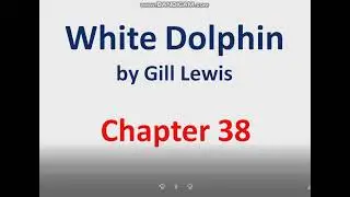 White Dolphin Chapter 38 Main Points and Summary