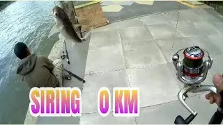MANCING DI SIRING 0 KM || AyoMancing