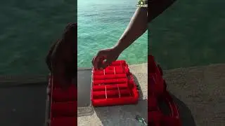Lure Box (295*215*60mm) - Keep your fishing lures organized and secure with the durable Lure Box