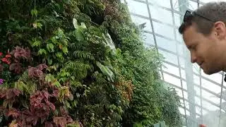 CLOUD FOREST IN SINGAPORE