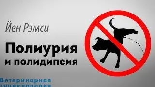 Полиурия и полидипсия. Polyuria / Polydipsia