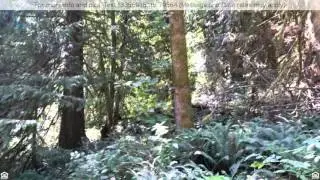 $59,600 - S River Lake Road, Estacada, OR 97023