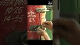 Registered Post Band Ho Gayi!  India Post Update 2025  #youtubeshorts #indiapost #postbox #education