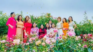 Vườn hoa hồng An Rose Farm tuyệt đẹp